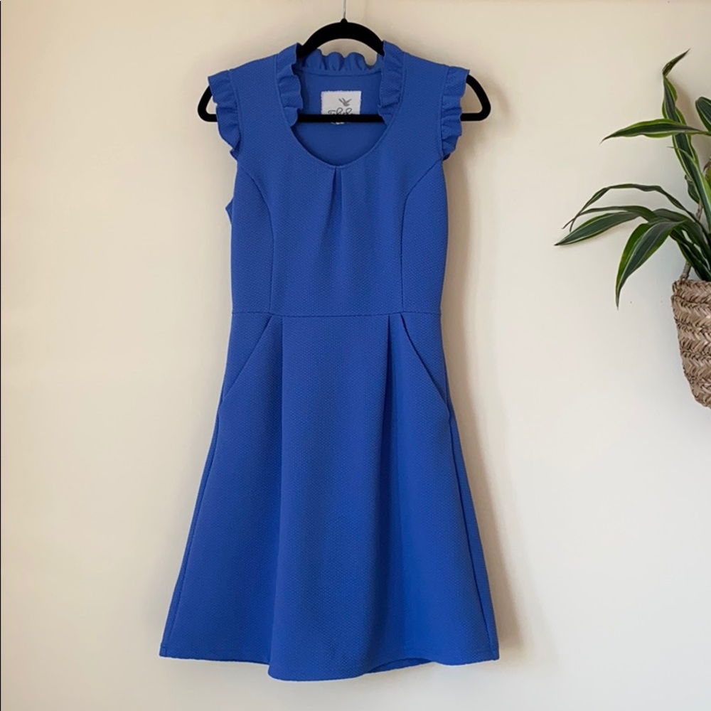 Bluebird Blue Dress with POCKETS!